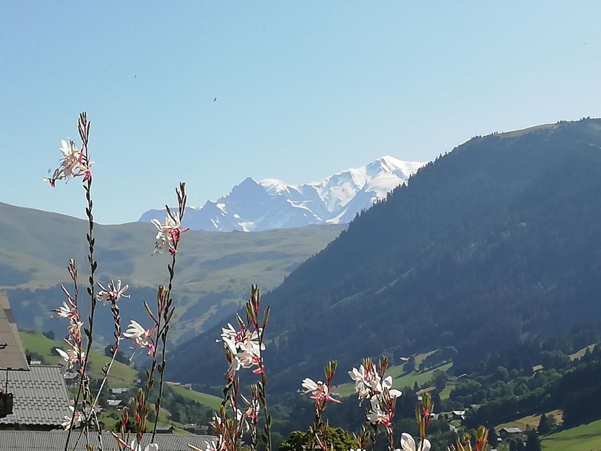 Chambres Et Tables D'Hotes Le Choton A Nono - Col Du Joly Beaufortain Hauteluce Luaran gambar