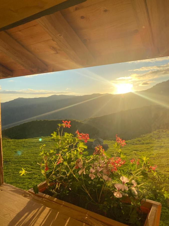 Chambres Et Tables D'Hotes Le Choton A Nono - Col Du Joly Beaufortain Hauteluce Luaran gambar